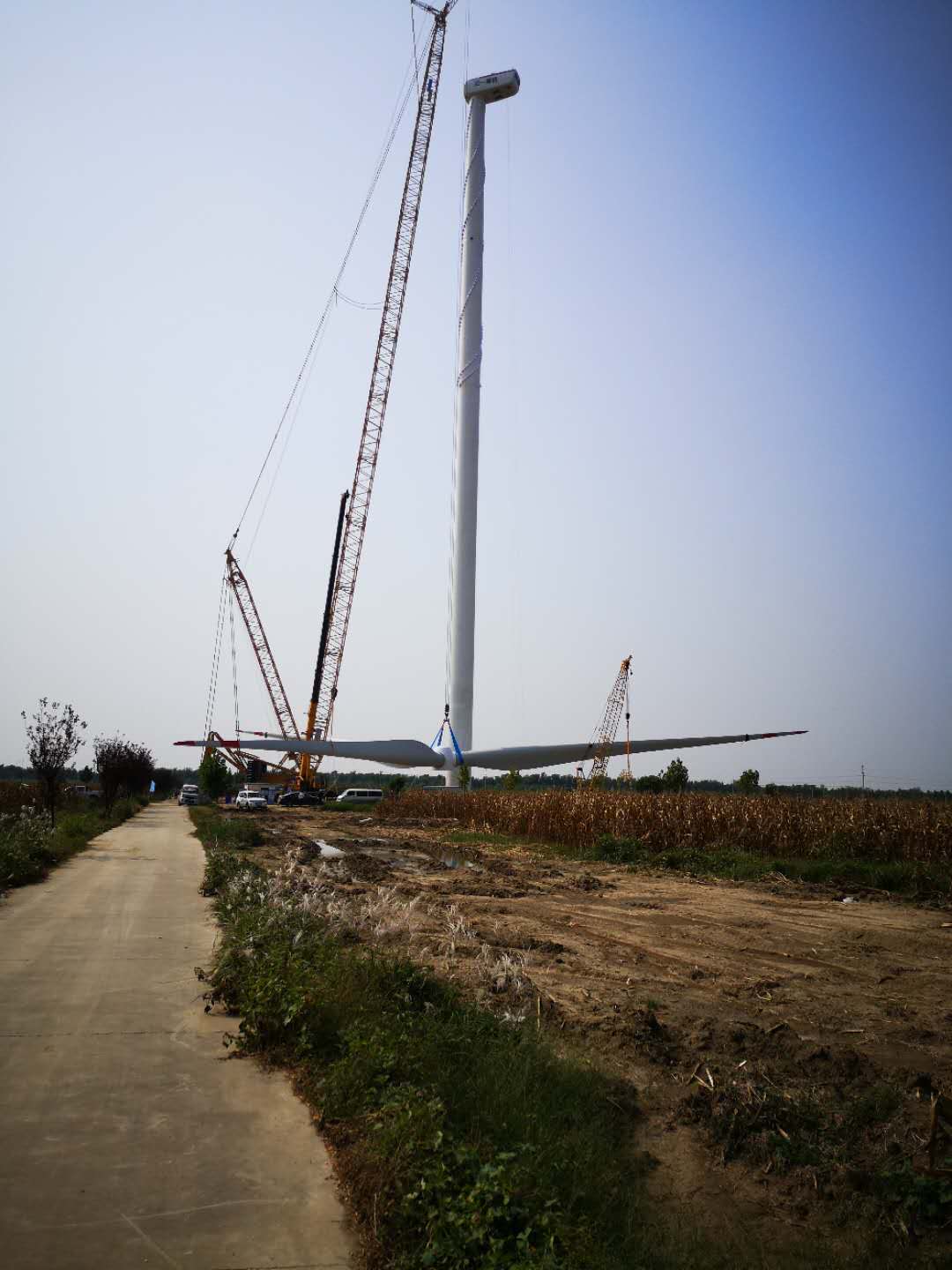 安徽固鎮興隆、巨龍風電場