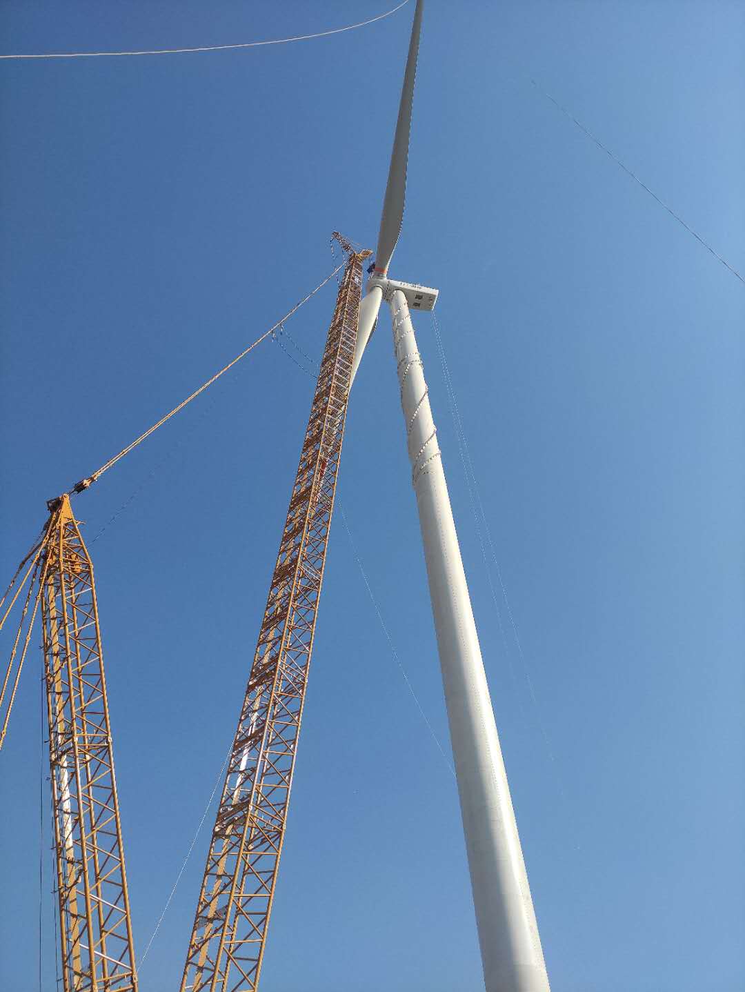 安徽固鎮興隆、巨龍風電場